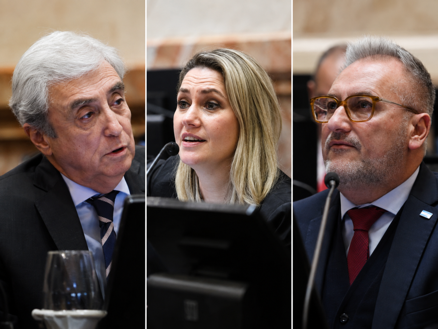 Senadores Nacionales Galareto Losada Lewandowski